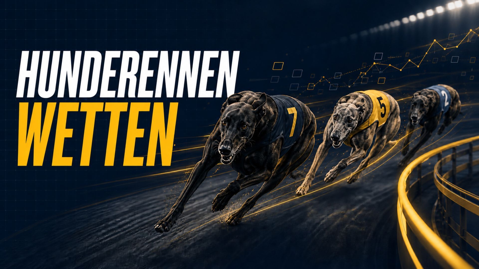Hunderennen Wetten: Wettarten, Rennen und Tipps